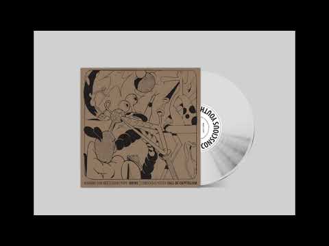 WR028: CONSCIOUS YOUTH | KODAMA DUB | GURU POPE | 12"