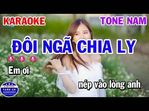 Đôi Ngã Chia Ly Karaoke Tone Nam