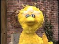 Classic Sesame Street Big Bird Commets That Was Funny