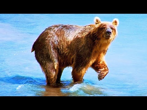 Полет над Россией — Русский трейлер (2021)