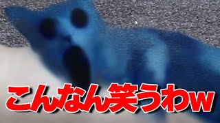 猫のホラーゲームがツッコミ所満載でめっちゃ笑ったww【つぐのひ/ゲーム実況】