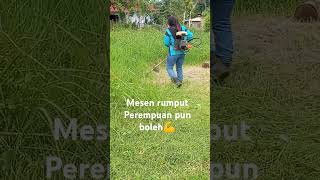 Download lagu Mesen rumput mp3 Download lagu Mesen rumput mp3