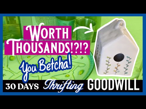 DAY 20: MY BIGGEST THRIFT FIND EVER!!!! | THRIFT WITH ME | 30 DAYS THRIFTING GOODWILL