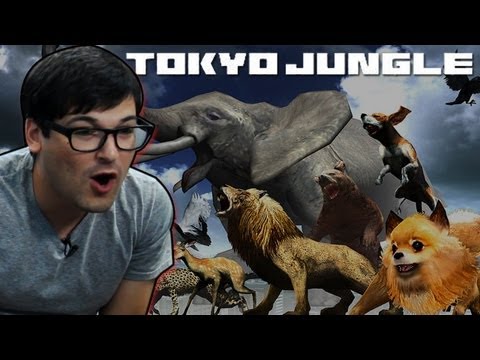 Let's Play Tokyo Jungle! Post-Apocalyptic Pomeranian Gameplay!
