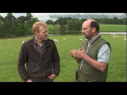 Sheep Dairying with Adam Henson