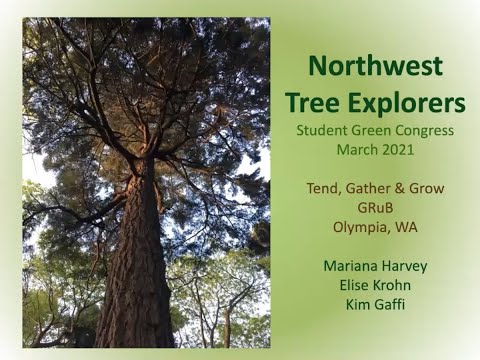 Tend Gather and Grow Tree Communities Video