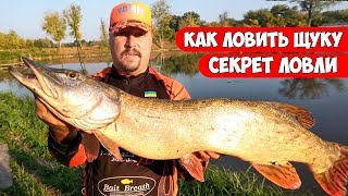 Канал рыбалка на щуку осенью