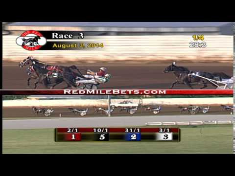 Red Mile Racetrack Race 3 08-03-14