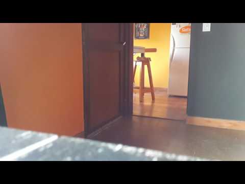 Choca abre la puerta