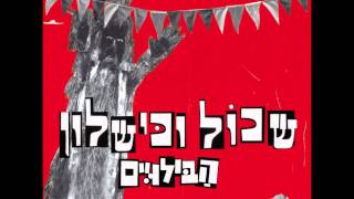 Cover art for שיר בחסות המועצה לפרות הדר