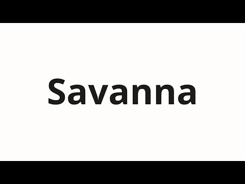 How to pronounce Savanna | Саванна (Savannah in Russian)