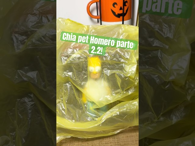 Vídeo relacionado con Chia Pet The Simpsons - Homero con Paquete de Semillas, Maceta Decorativa de cerámica, fácil de Hacer y Divertida de Cultivar, Regalo novedoso, Cualquier ocasión