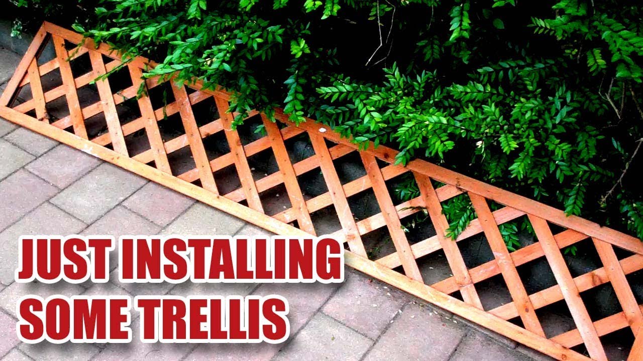 Watch video Fitting Some Garden Trellis to a Wall! Now Fitting Some Garden Trellis to a Wall!