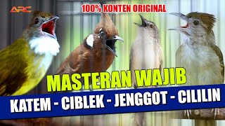 Download lagu MASTERAN KAPAS TEMBAK - CIBLEK - CUCAK JENGGOT - CILILIN mp3 Download lagu MASTERAN KAPAS TEMBAK - CIBLEK - CUCAK JENGGOT - CILILIN mp3