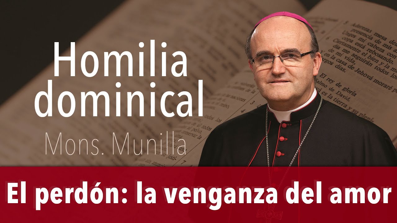 Homilía 23.2.2025 / Domingo 7º del Tiempo Ordinario