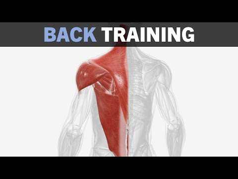 Back Hypertrophy Training Fundamentals