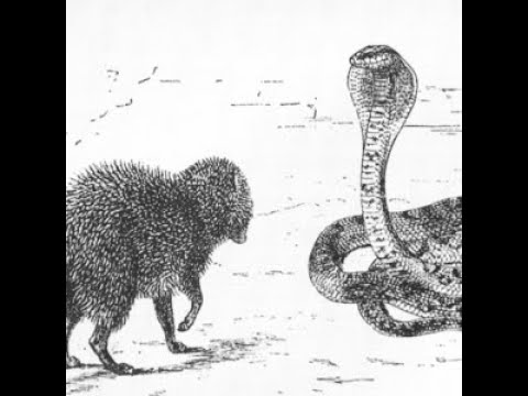 download lagu mp3 mp4 Level K, download lagu Level K gratis, unduh video klip Level K