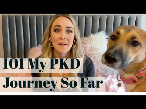 101 My Polycystic Kidney Disease Journey So Far
