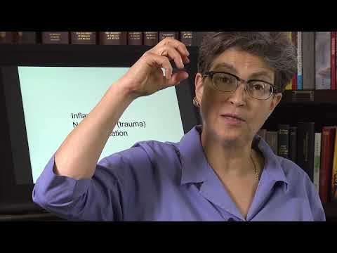 12.7 Silent Nociceptors