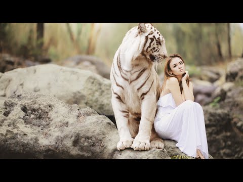 Live Liebesorakel Für SINGLE UND VERGEBENE.