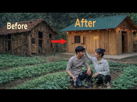Mr. Khanh turned an abandoned house into a dream home for a poor girl, helping her start a new life