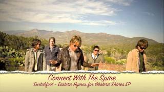 Connect With The Spine