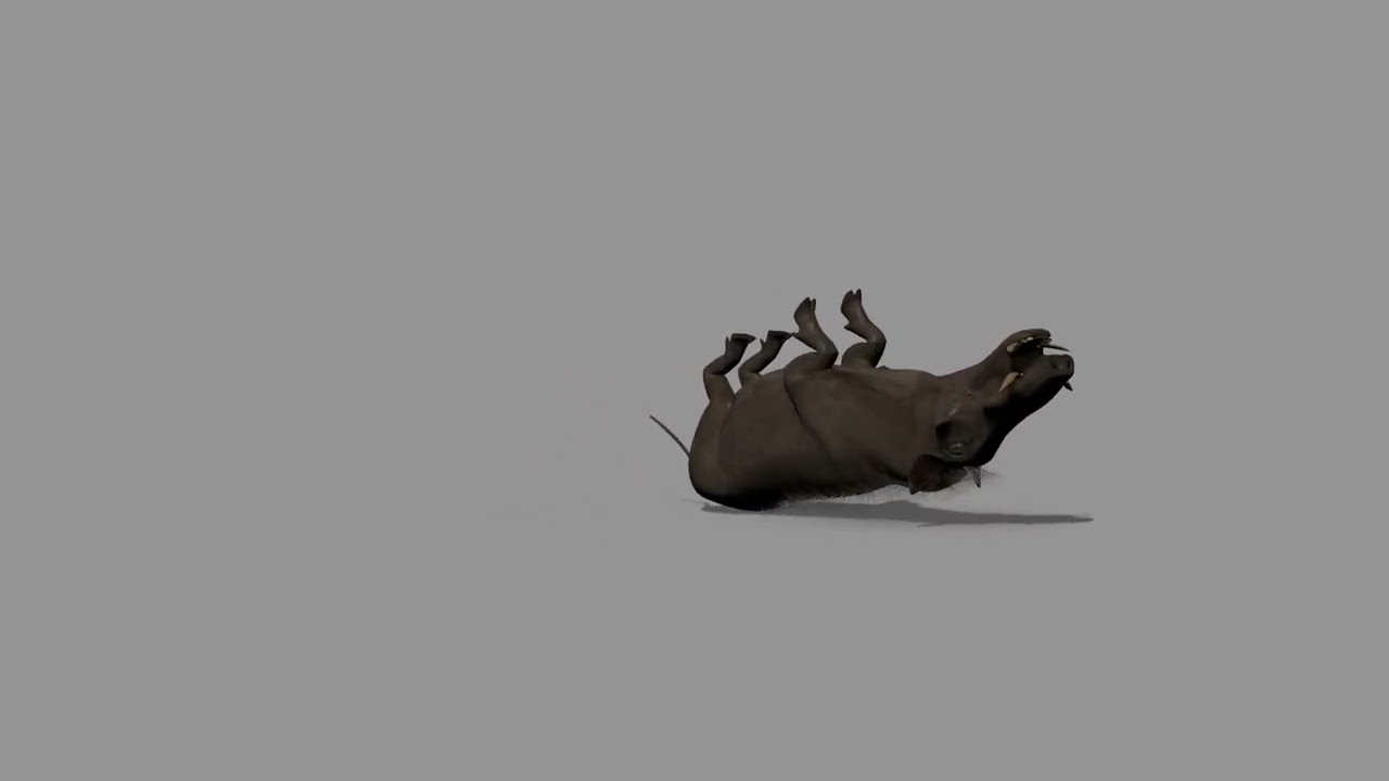 Warthog African pig - animated 3d fur model 3D Model