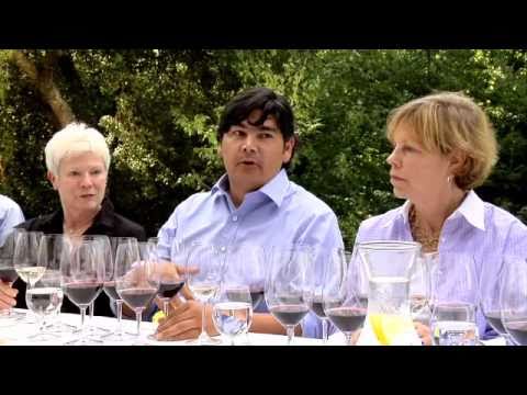 Tasting Napa Valley Cabernet : Three Hoots