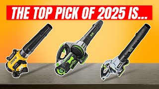 5 Best Cordless Leaf Blowers 2025 - Watch Before Buying!