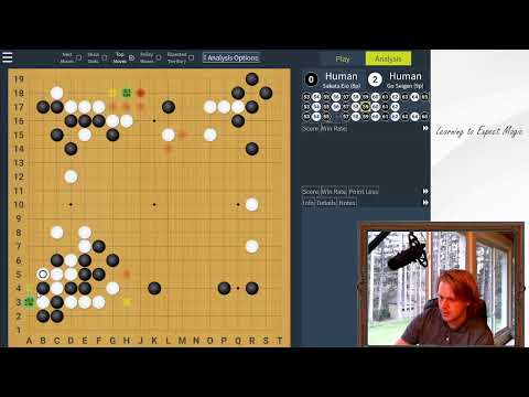 sakata eio v go seigen rematch