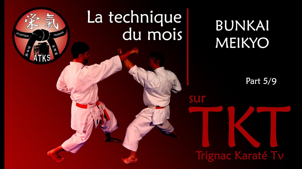 Bunkai Meikyo Part 5