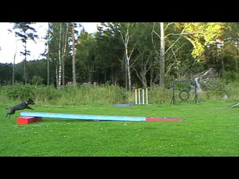 090807-UDO (starting over with) RUNNING CONTACTS