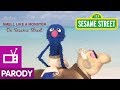 Sesame Street:  Grover Stars in 