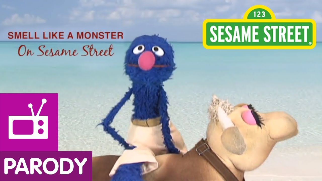 Sesame Street: Grover Stars in 