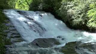 preview picture of video 'Catheys Creek Falls, Pisgah National Forest, NC'