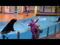 Sea Lion High The New Class SeaWorld Orlando January 13 2021