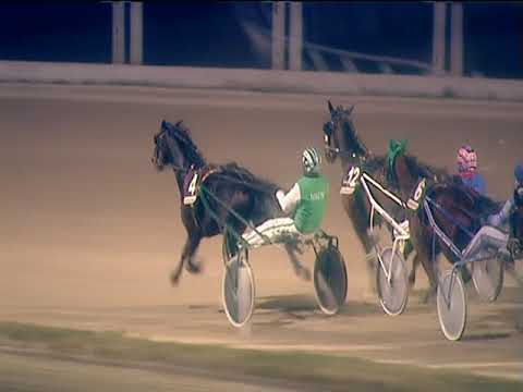 Trotto 15/01/2019 - 5ª corsa