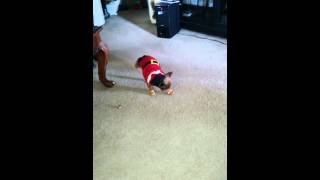 Jesse James and his new shoes