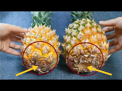 菠蘿甜不甜？看一眼這裡就知道，一挑一個准，老果農的方法真管用【百變小廚坊】#菠蘿 #挑選菠蘿方法 #老果農