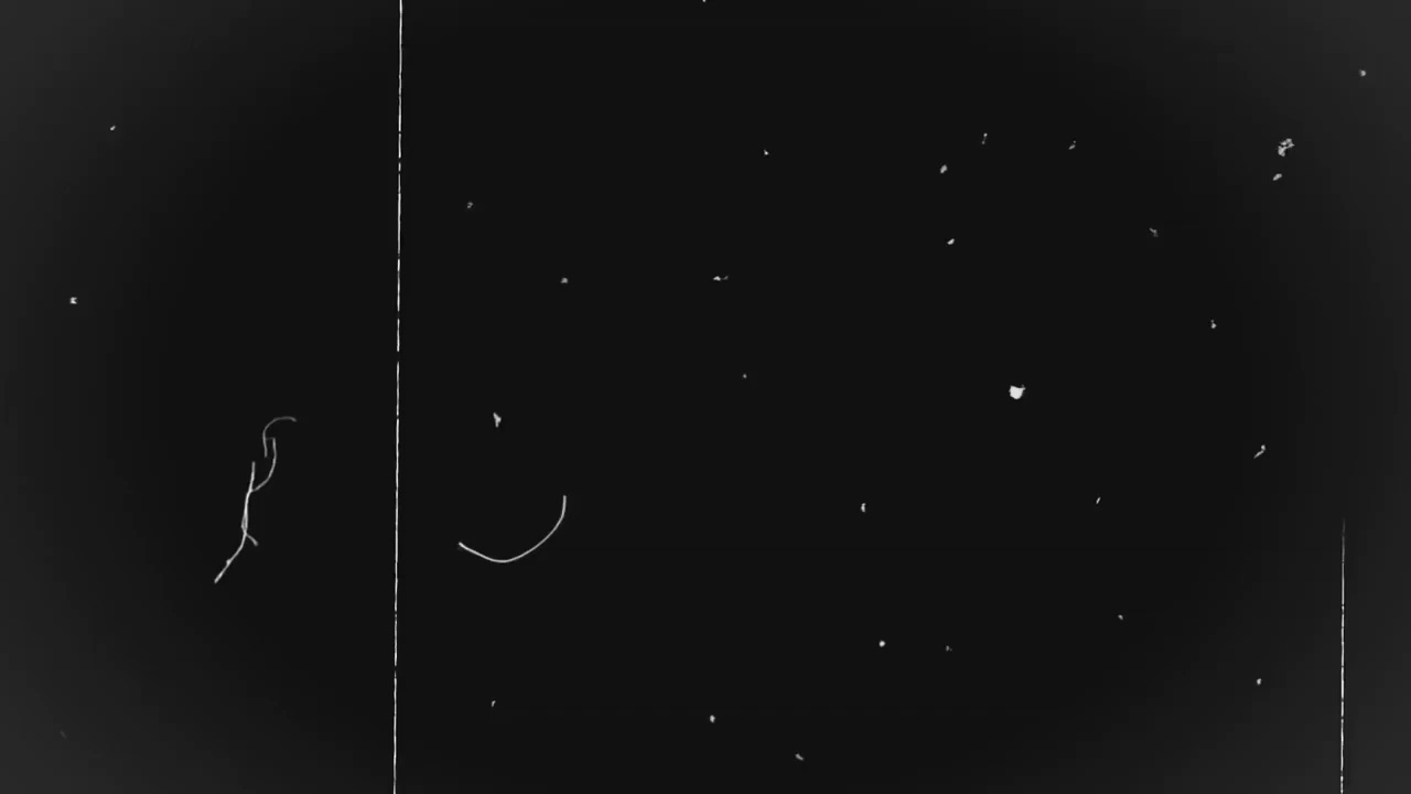 old film grain overlay  Video Audio footage HD Free