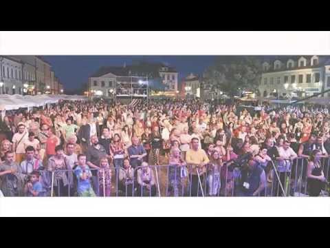 CALL ME STEVE - lil PROMO