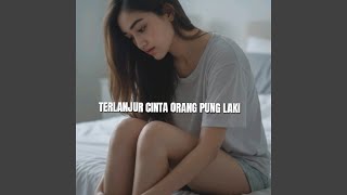 Download lagu Terlanjur Cinta Orang Pung Laki mp3
