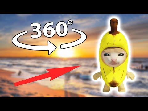 Banana Cat 360° Finding Challenge #3