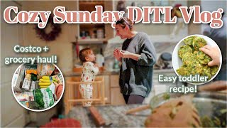 Cozy Sunday Family Vlog 🍂🍞 HUGE Costco & Grocery Haul, Homemade Toddler Broccoli Bites, Sourdough