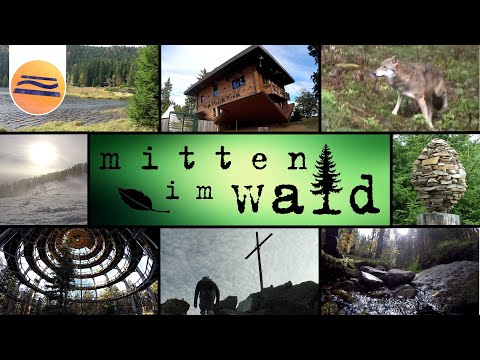 Bayerischer Wald | Urlaub in der Natur | Mitten im Wald