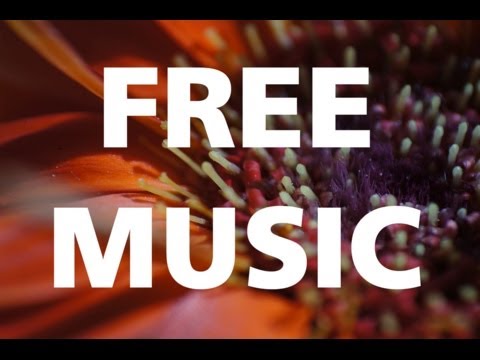 Huma Huma - Omission [REGGAE / FUNKY] free & no copyright