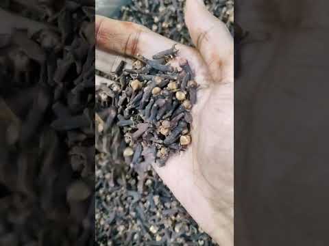 Natural cloves laung lavang, whole, packaging size: 10 kg