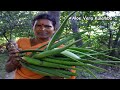 Aloe Vera Kulambu Recipe Aloe Vera Kara Kulambu Aloe Vera Health Benefits Side Dish Recipes