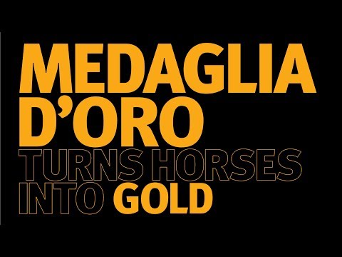 Medaglia d'Oro – er macht aus Pferden Gold!