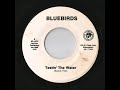 Bluebirds - Testin' The Water (Sooto)